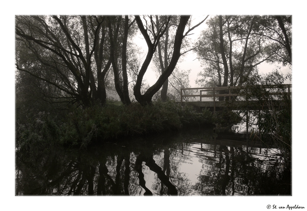 die Brücke am See...