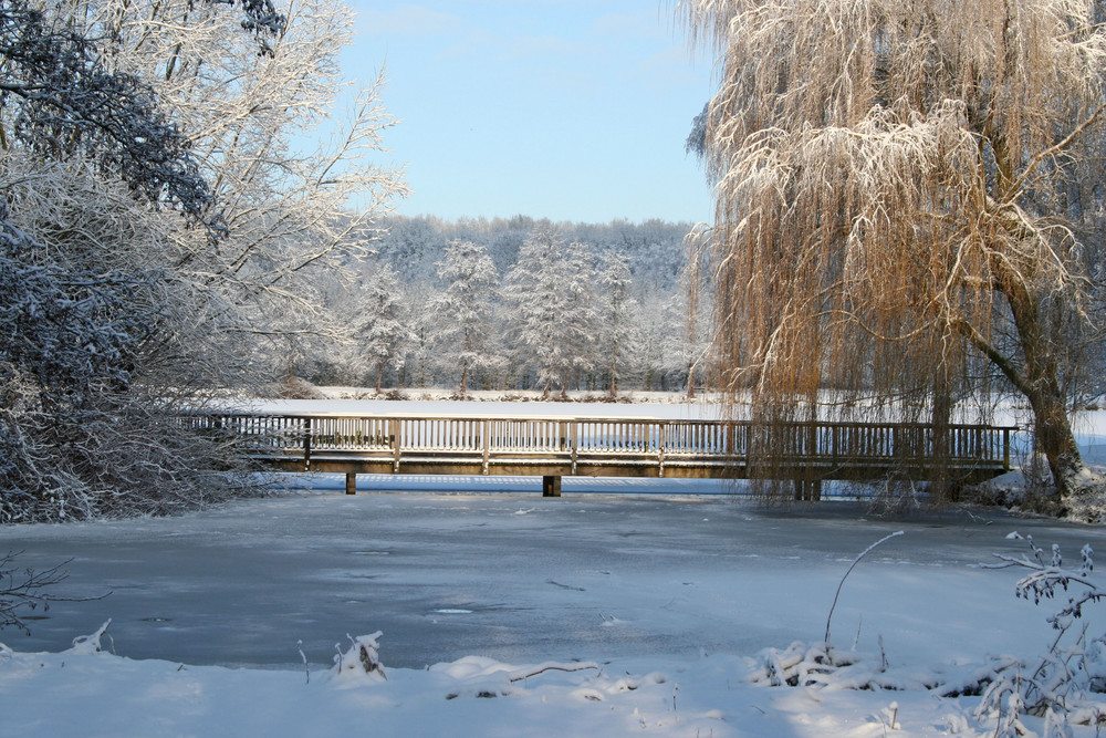 Die Brücke am See