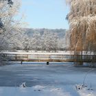 Die Brücke am See