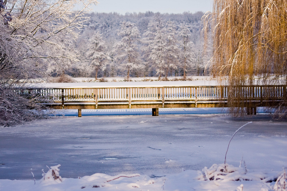 Die Brücke am See