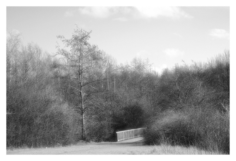 Die Brücke am See