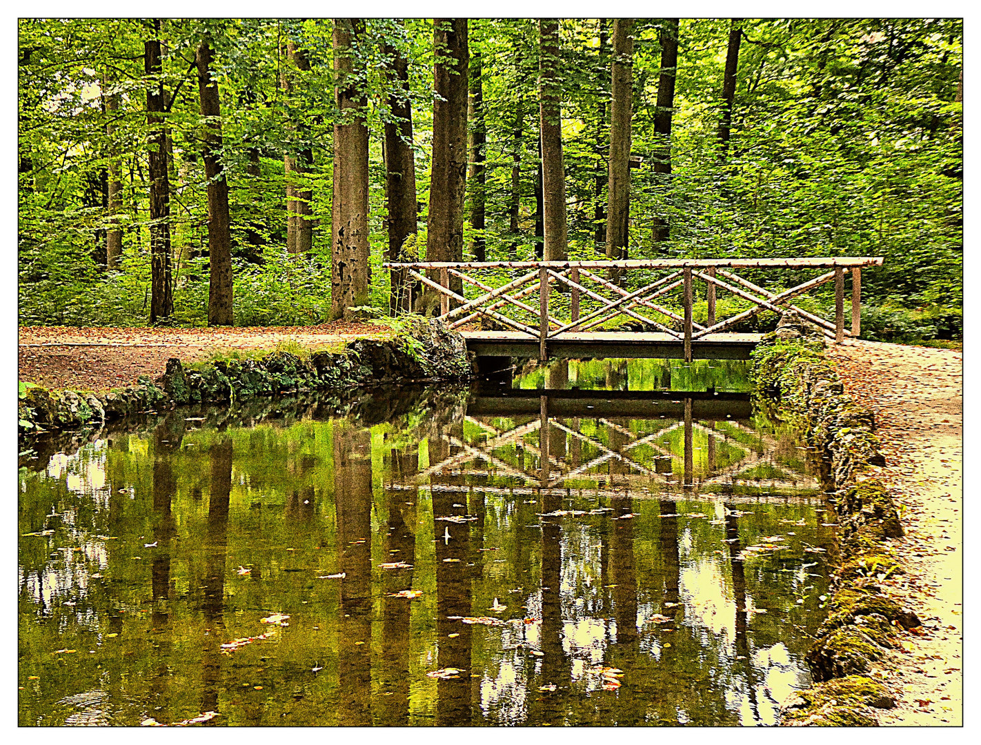 Die Brücke am Waldteich 