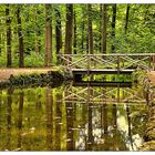 Die Brücke am Waldteich 