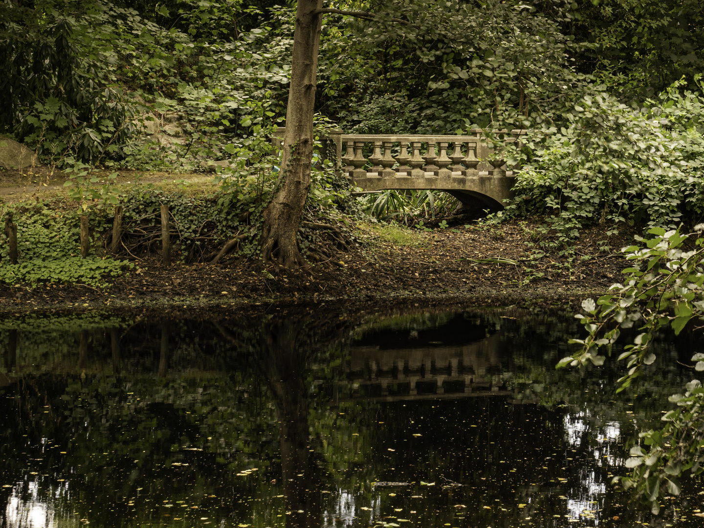 Die Brücke