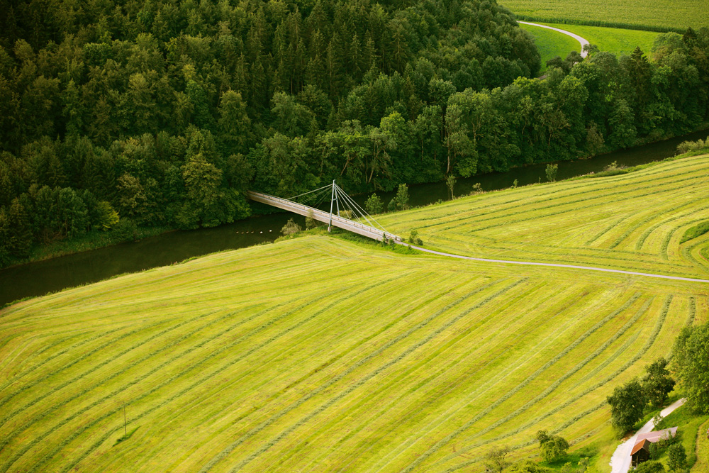 Die Brücke