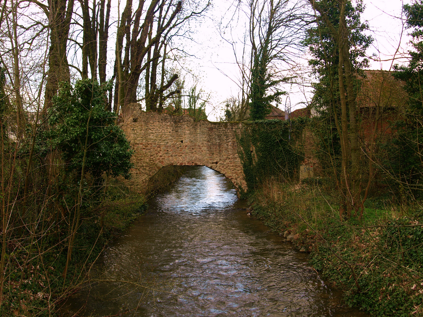 Die Brücke