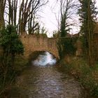 Die Brücke