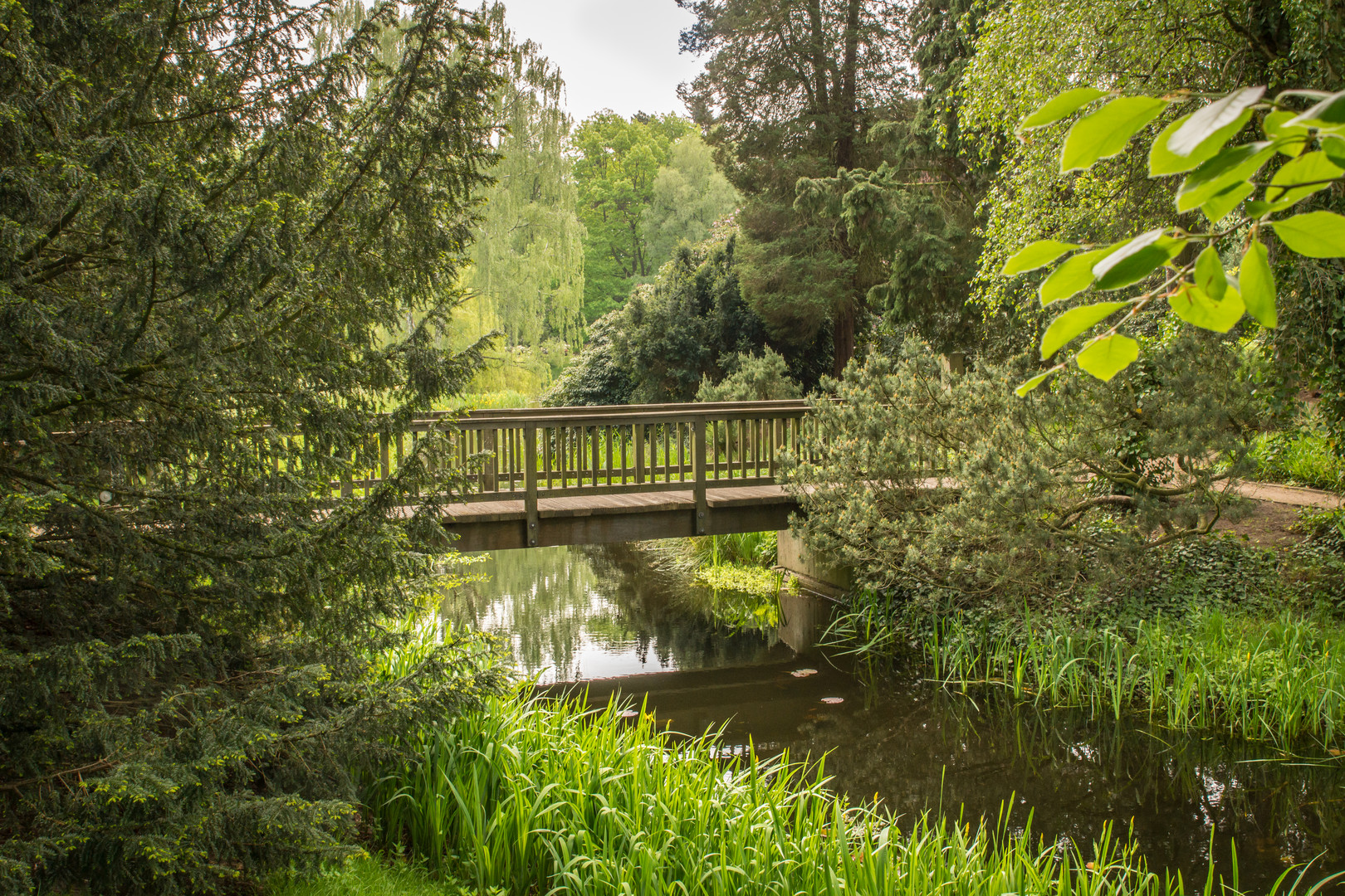 die Brücke 