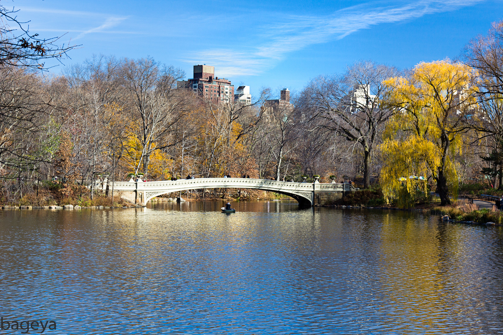 die brücke - central park im Dezember - New York City