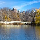 die brücke - central park im Dezember - New York City