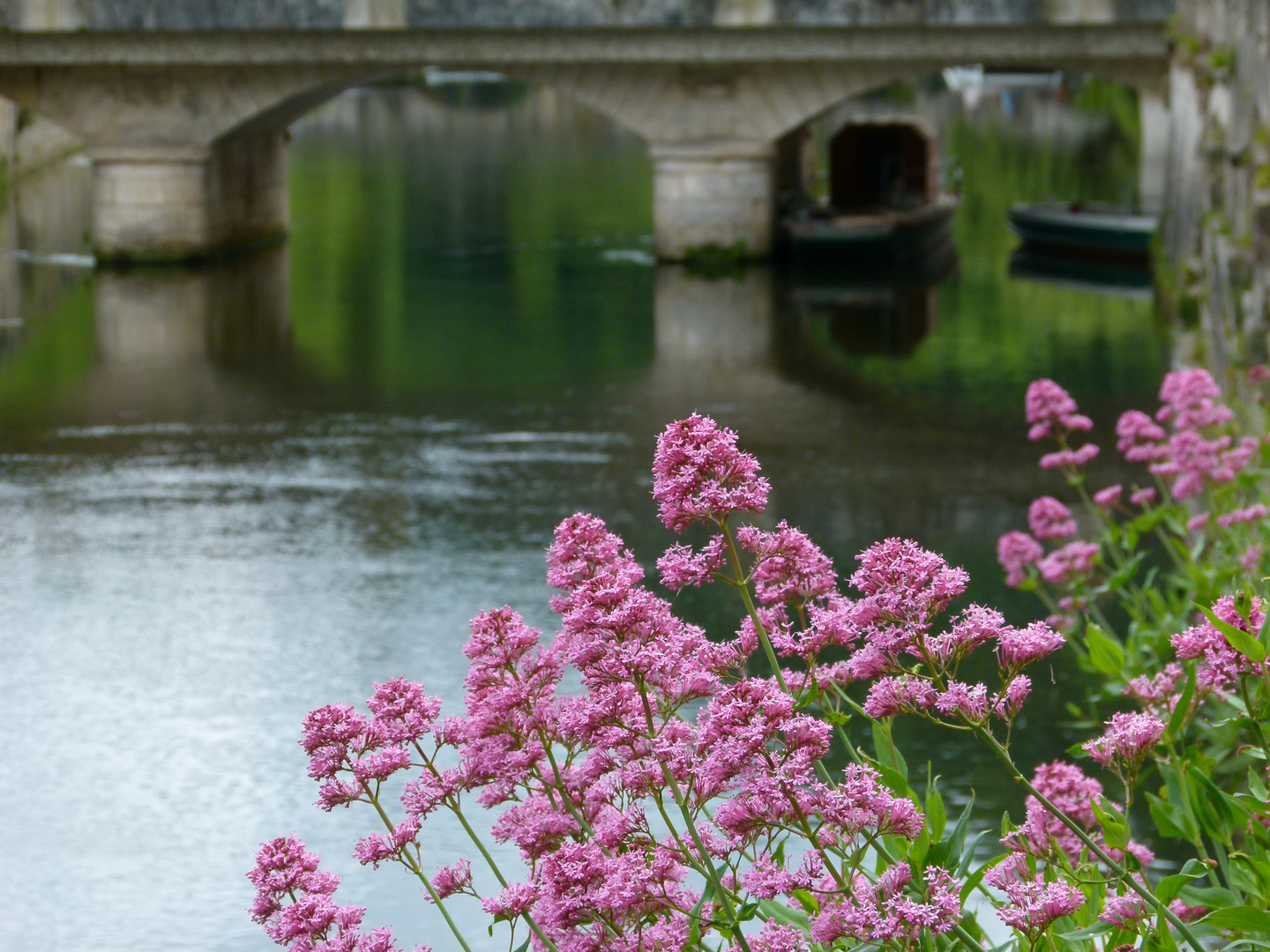 Die Brücke