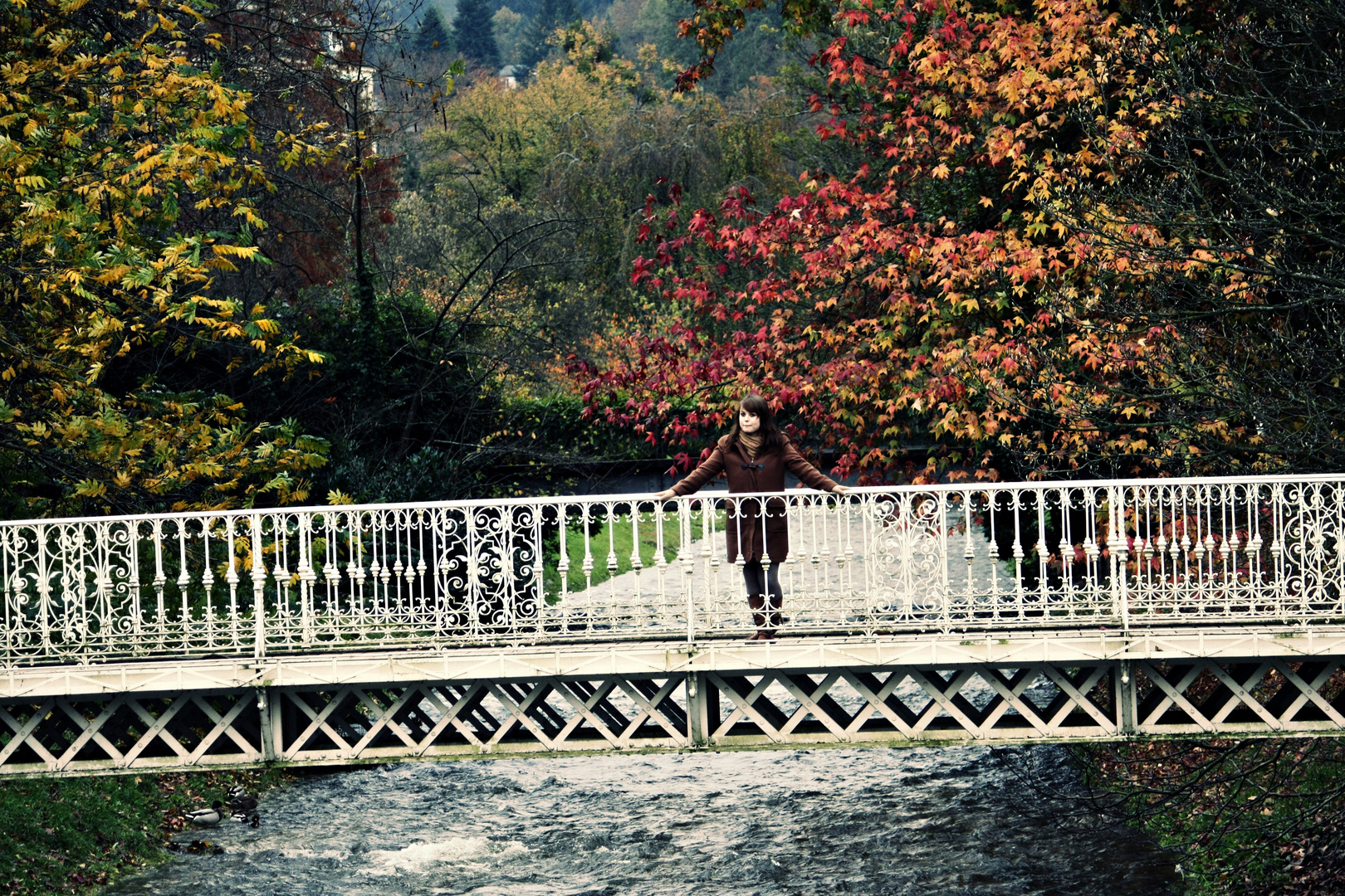 Die Brücke