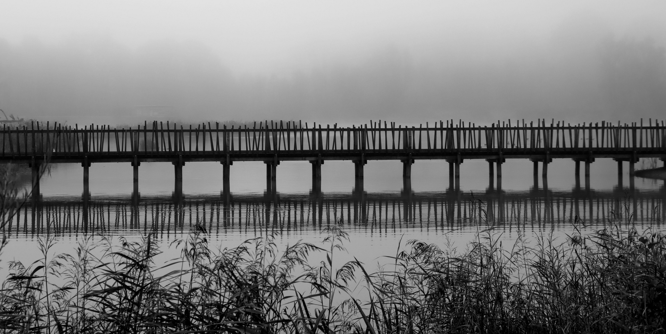 die Brücke