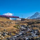 Die Brücke, der Wildbach und der Zug