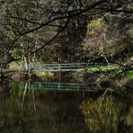 die Brücke die sich spiegelt