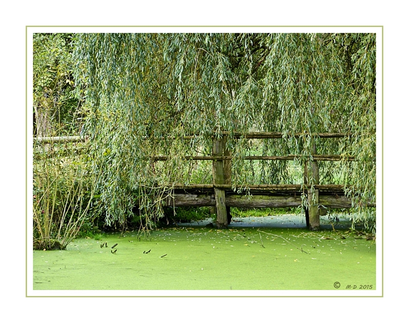 Die Brücke.....