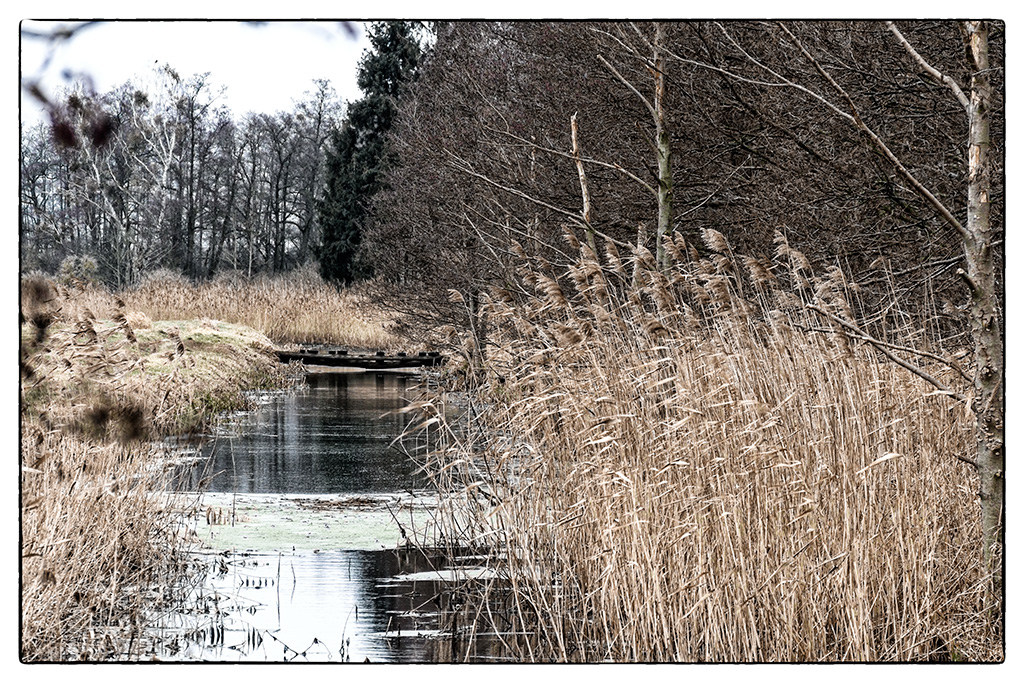 die Brücke