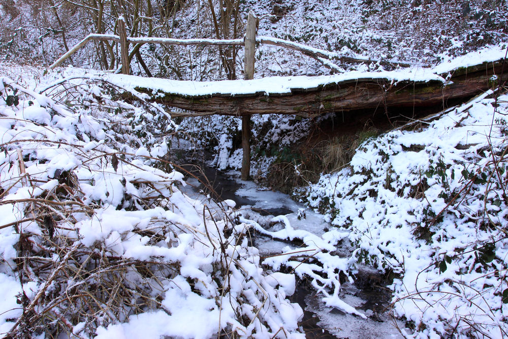 Die Brücke