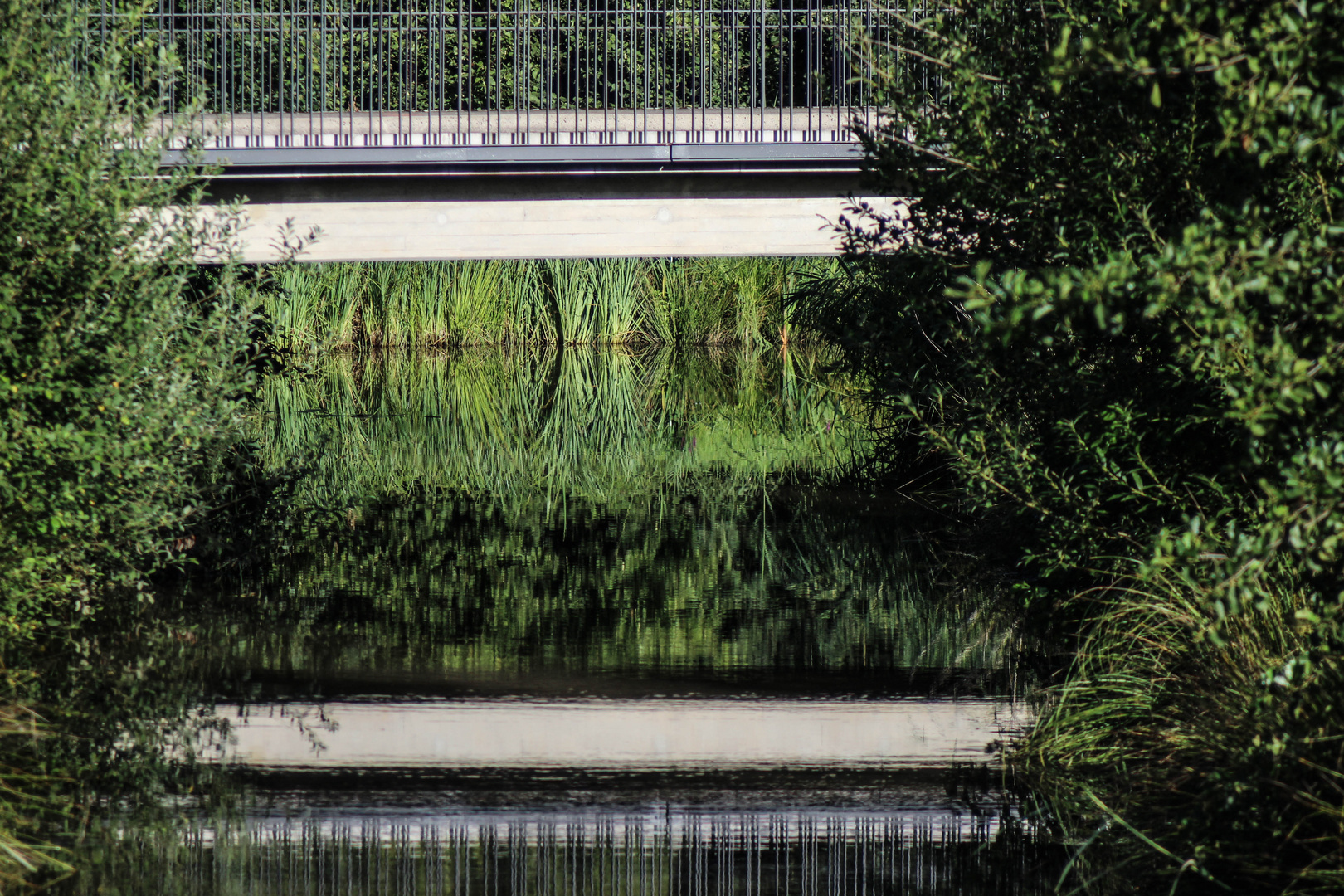 Die Brücke ...