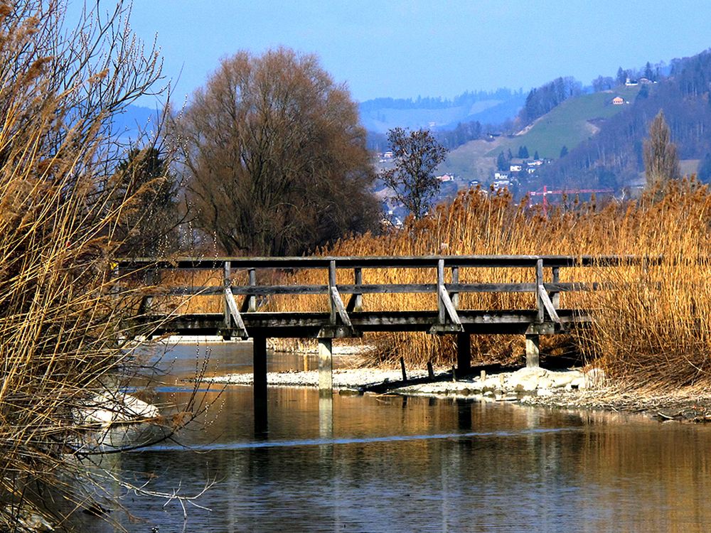 Die Brücke