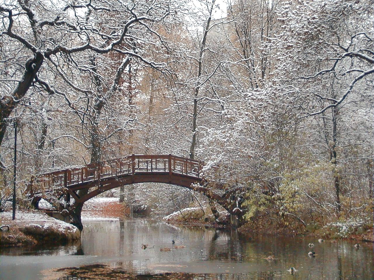 Die Brücke im Johannapark