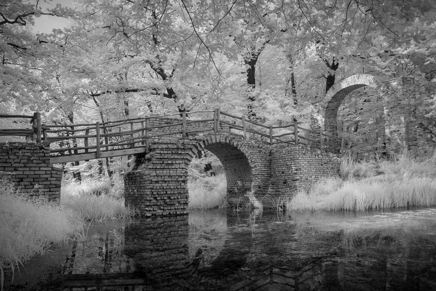 die Brücke im Park