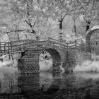 die Brücke im Park