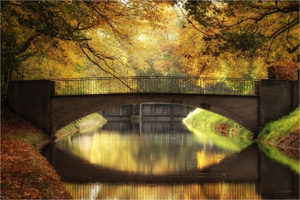 Die Brücke im Park