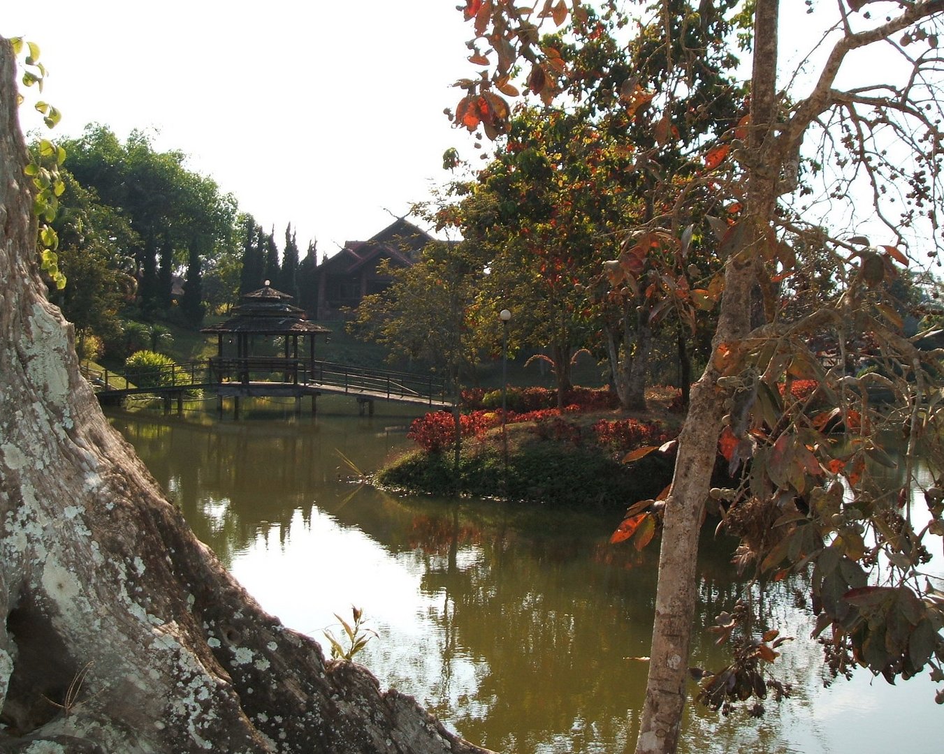 Die Brücke im Park