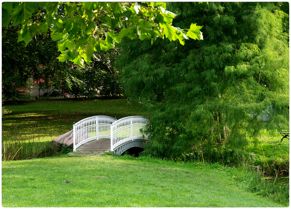 Die Brücke im Park