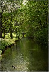 Die Brücke im Park