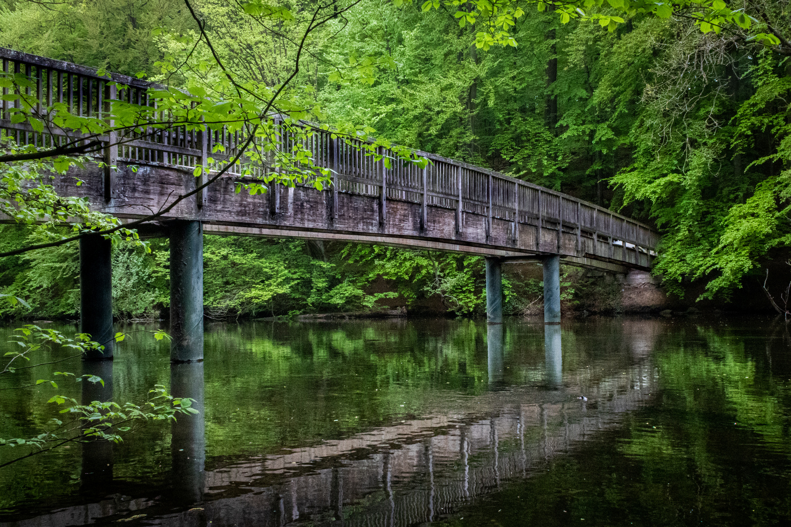 Die Brücke im Schwentinental 