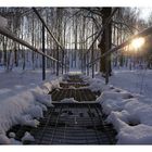 Die Brücke im Wald