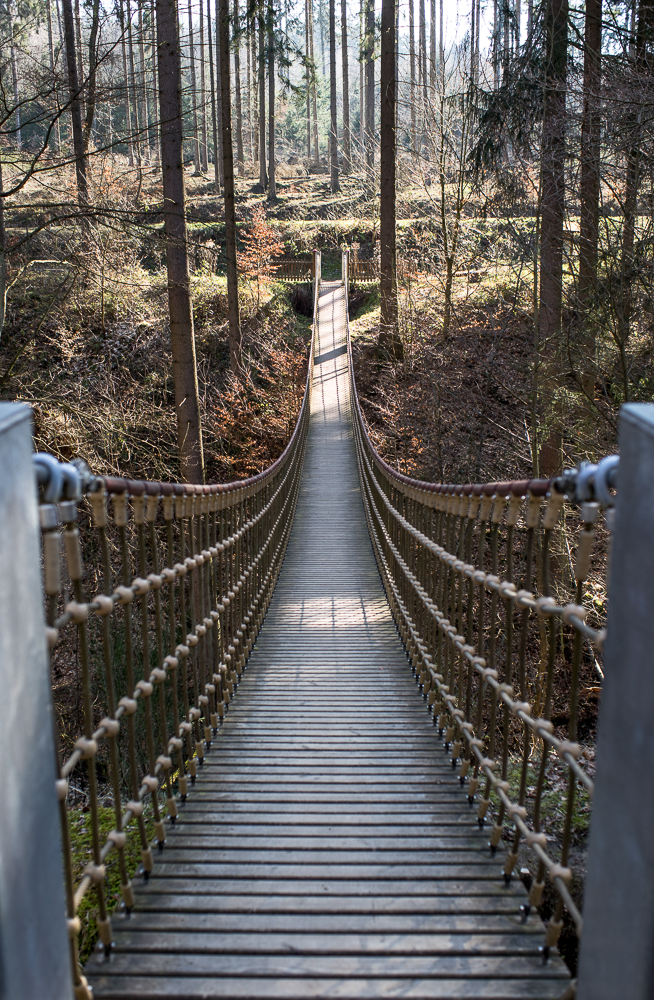 Die Brücke Im Wald