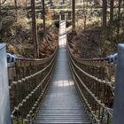 Die Brücke Im Wald