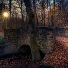 DIE BRÜCKE IM WALD