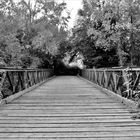 Die Brücke im Wald