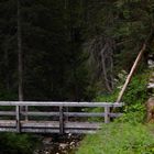 Die Brücke im Wald