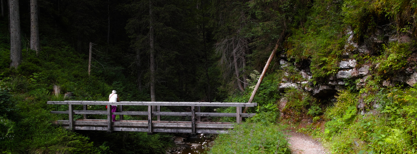 Die Brücke im Wald