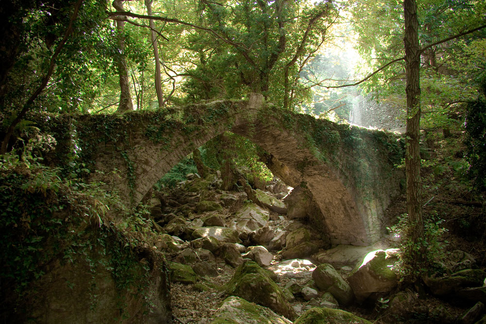 Die Brücke im Wald