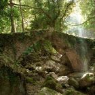 Die Brücke im Wald