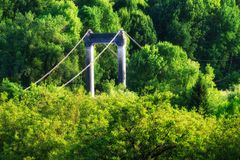 Die Brücke im Wald