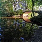 die Brücke im Wald