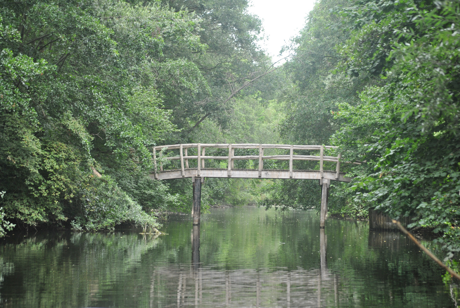 Die Brücke im Wald