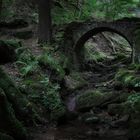 Die Brücke im Wald