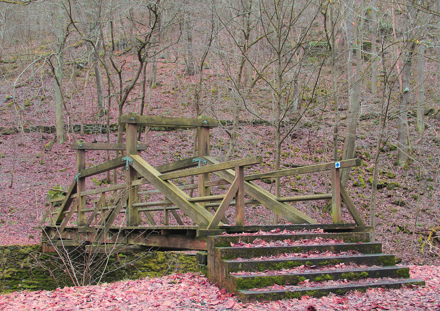 Die Brücke im Wald