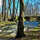 die Brücke im Wald, Zufahrt zum Ort nicht möglich