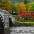 Die Brücke in den Herbst