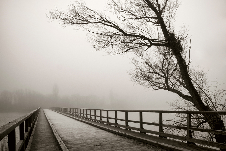 Die Brücke in den Nebel