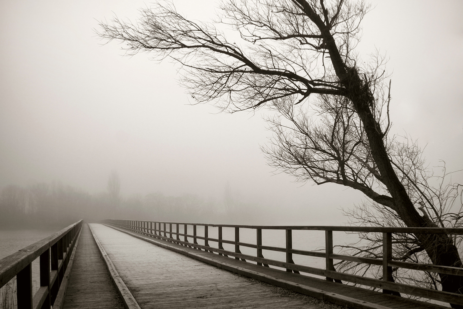 Die Brucke In Den Nebel Foto Bild Nebelstimmungen Wetter Getont Bilder Auf Fotocommunity